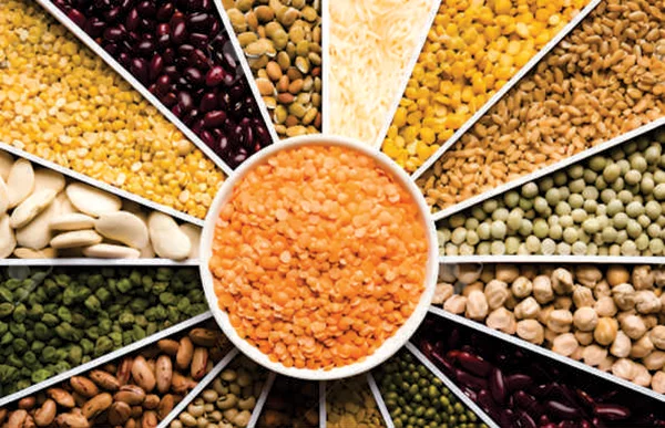 Premium Quality Pulses